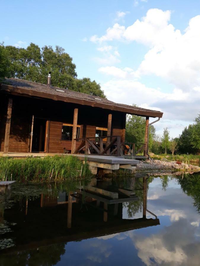 Akmeninis Bebras Villa Zemaiteliai Luaran gambar